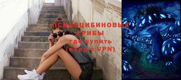 мяу мяу мука Алзамай