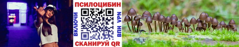 дарнет шоп Киселёвск Псилоцибиновые грибы мицелий